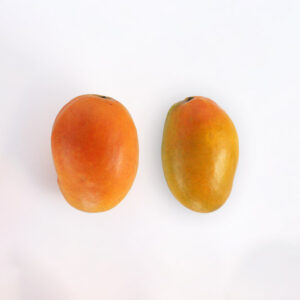 Mango Gomera 3 Viveros Rosben