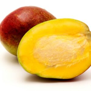 Comprar mango vivero